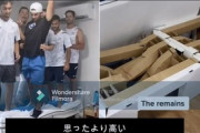 【東京五輪】選手村の段ボールベッド破壊動画を投稿したイスラエル選手が謝罪