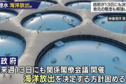 印象操作だけで政権取れると思ってんの？　～　処理水、海水で薄めて海に放出　→志位和夫「こんなゴマカシで、汚染水処理水の放出など絶対に許してはなりません！」　→ツッコミ殺到