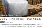 愛国インフルエンサーら、消えたアベノマスク問題を追及した立憲・田島議員にお怒り 「この世界情勢でそんなこと質問してる場合か?」