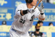 ロッテ高部瑛斗さん、オープン戦で無双してしまうｗｗｗｗｗｗ