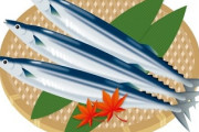 【超朗報】秋の味覚サンマ、不漁から一転 豊洲市場に入荷3倍