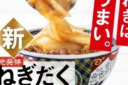 吉野家でたまねぎの量が5倍！「ねぎだく牛丼」全国発売開始　お値段454円(税別)