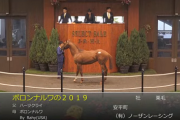 【セレクトセール】ハーツクライ産駒1億2500万円で落札　他