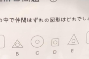 ワイ発達が発達診断で受けたテスト