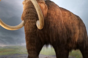 ついに人類が遺伝子操作でマンモスを復活させてしまう