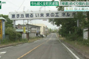 日本さん「資源ありません、原発怖くて動けれません、SDGsで火力廃止します」←これwywywyw