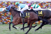 アドマイヤビルゴ大阪杯へ