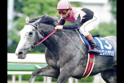 日本の競馬史上で最強の兄弟て結局どいつらなの？