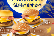 マクドナルド、激ムズ間違い探しを投稿　全然わからないぞ