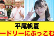 平尾帆夏がオードリーに心配していたこと【日向坂46】