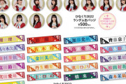 【日向坂46】『ひなくり2022』ポカグッズ、多すぎない？ｗｗｗｗｗｗｗｗｗ