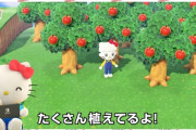キティちゃんさん、あつ森を実況プレイｗｗｗｗｗw