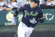 【朗報】ヤクルト並木秀尊、ガチで成長する