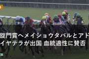 凱旋門賞へメイショウタバルとアドマイヤテラが出国 血統適性に賛否