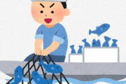 ワイ「脱サラして漁師やってます」　なんJ民「ただの敗北者で草」　ワイ「一応、年収1440万円(笑)」