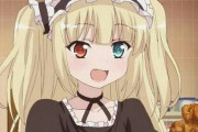 ｢僕は友達が少ない｣とかいうアニメに羽瀬川小鳩ちゃんって子いたでしょ