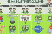 【悲報】日本、2090年に消滅