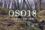 【衝撃事実】北海道で家畜を荒らし回ったOSO18さん、栄養失調で暴れ回っていただけの弱熊だった……