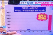 【画像】今年の花粉、去年の428倍だった！！！