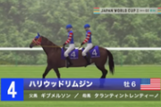 【競馬】日本競馬って全長3200mの馬が現れたらG1全て持ってかれる欠陥競技じゃん
