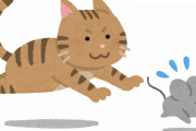猫「あっネズミくんおるやん！ひょいパｸ～」鼠「ひえっ・・・」