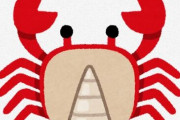 【悲報】カニ「腕もぎ取り遊びしたろ」