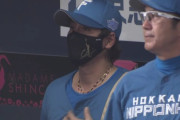 【オリックス対日本ハム24回戦】日本ハムがオリックスに3タテ喰らい首位遠のく…2点差逆転負け 齋藤が7回代打西野にV打、玉井が紅林に同点打 清宮幸10号空砲