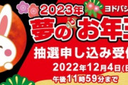 毎年恒例！ヨドバシカメラの福袋｢2023年 夢のお年玉箱｣の抽選受付開始【中身予想】
