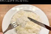 知らないおばちゃん「あなた！マナーがなってないわよ!!」おもむろにフォークにライスを載せ始める  [9/17]