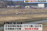 【岩手】空港にクマ出没　一時滑走路閉鎖