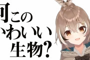 【悲報】海外人気Vtuber「ワサビは好きじゃない寿司を不味くする」←日本人がブチギレし大炎上