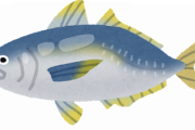 魚って色々あるけど結局『アジ』だよな？