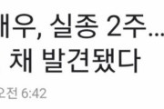 韓国人「衝撃：日本セクシービデオ女優の〇体が木に縛られた状態で発見される」「まさか犯人って…」