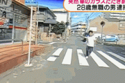 【ＧＩＦ】これ運転してたババア死ぬほどビビっただろうなｗｗｗｗｗｗｗｗ