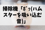 【悲報】掃除機「ﾎﾞｯ(ハムスターを吸い込む音)」