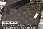 【悲報】ルイ・ヴィトンのバッグを自作してたBBA、捕まる