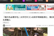 「暴力も必要かも」大手ゼネコンの若手現場監督に、飛び蹴りした鳶職人