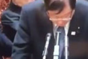 【動画】 文科副大臣、国会で何度もとんでもない読み間違えで騒然