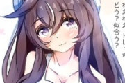 【ウマ娘】髪を下したヴィブロスの破壊力ｗｗｗ 他、ヴィルシーナ（イラスト）