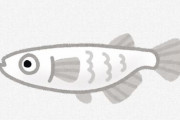 【無敵】メダカさん、二ヶ月何も食わなくて生きる
