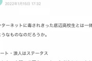彡(^)(^) 「泣きました。私は高校生なのになんj民で衛門でバチャ豚です。」