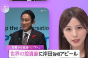 岸田首相｢日本の家計金融資産2100兆円を投資へシフトさせる｣ 世界の投資家へアピール