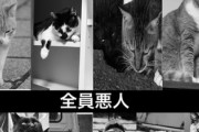 【画像】全員悪猫