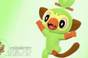【ポケモン剣盾】御三家の中でサルノリが一番人気がない模様