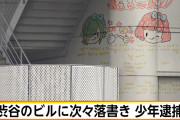 【ちぇるーん語】「渋谷のビルに次々落書き少年逮捕」←ラクガキが可愛すぎると話題に