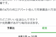 【画像】生活保護民「これが私の今月の家計簿です。これのどこがいい生活なんですか？」