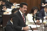 【ﾋｻﾝ案＼(^o^)／ｵﾜﾀ】外務省公式「韓国の国際法違反状態の是正にならない。解決策にならず受け入れられない」ヒゲの隊長への答弁（国会動画）