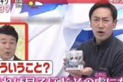 中国「これが日本の良い所だ！」 日本の五輪アナウンサーが中国でアイドル並みの人気に