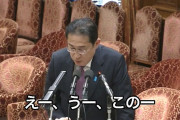 【動画】岸田首相の答弁、動揺しまくってしどろもどろ、コレは嘘つきのアレだ