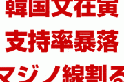 【速報】韓国文在寅の支持率が暴落開始！　マジノ線の41%を割り込みパニック状態！　チョグク法相指名は大失敗か！